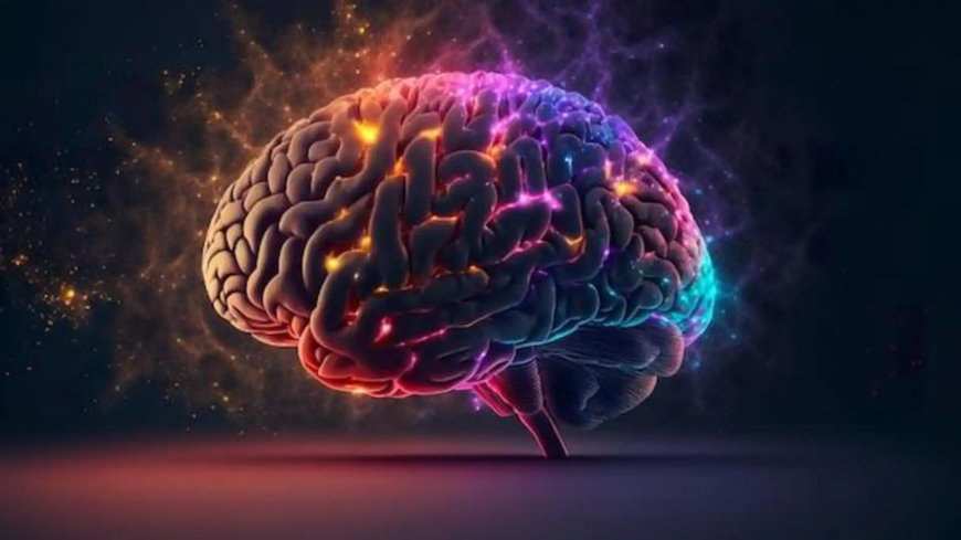 Beyond the Brain: Unpacking the Complex Relationship between Mind and Body